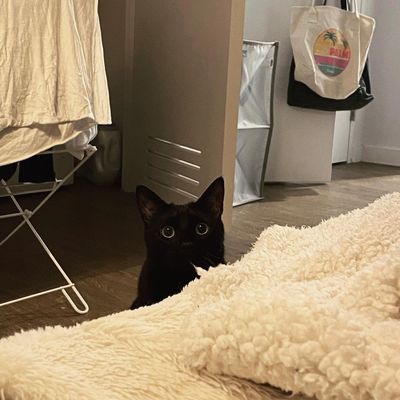 Instagram Post Photo