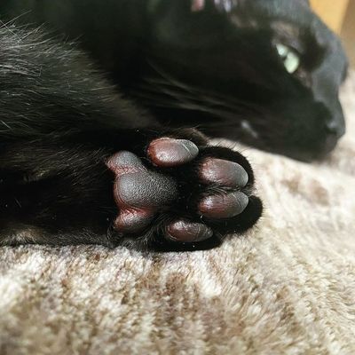 Instagram Post Photo