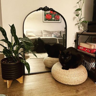 Instagram Post Photo