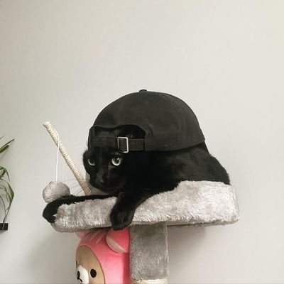 Instagram Post Photo