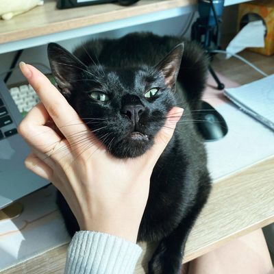 Instagram Post Photo