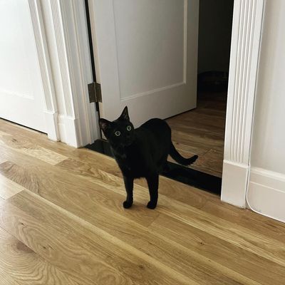 Instagram Post Photo