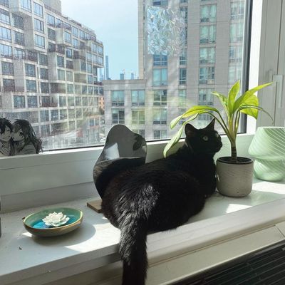 Instagram Post Photo