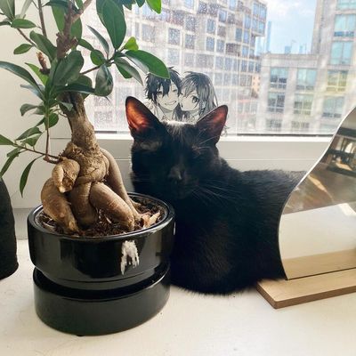 Instagram Post Photo