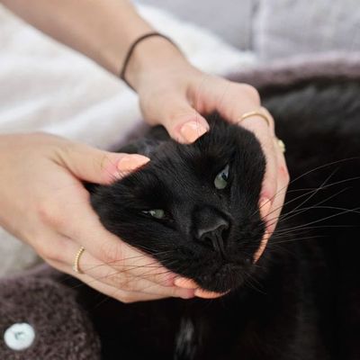 Instagram Post Photo