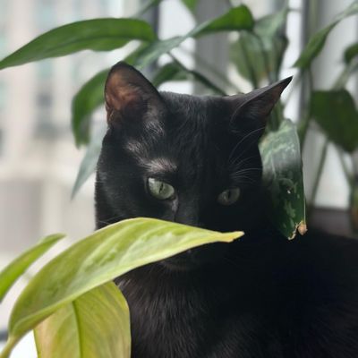 Instagram Post Photo